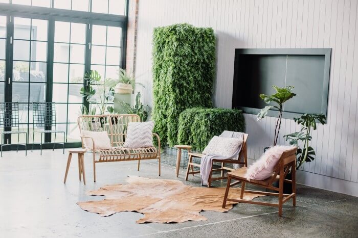 A cozy room with a chair, a plant, and a cowhide rug. Perfect for lounging in the warehouse venues of Melbourne.